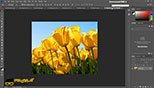 روش های انتخاب تصاویر در نرم افزار ادوبی فتوشاپ سی سی 2018