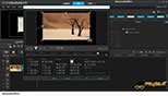 معرفی بخش عُپستی (Opacity) یا غلظت رنگ کادر محاوره ای کاستومایز موشن (Customize Motion)در برنامه کورل ویدیو استودیو (Corel Video Studio X10)