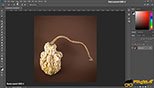 انتخاب اشیاء با لبه های سخت Select and Mask در نرم افزار ادوبی فتوشاپ سی سی 2018 Adobe Photoshop CC 2018