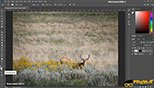 حذف عناصر از تصاویربا  Layer Via Copy در نرم افزار ادوبی فتوشاپ سی سی 2018 Adobe Photoshop CC 2018