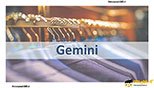 معرفی نرم افزار جمینی  Gemini